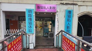 位于惠南镇名品村里面的一家宝藏撸猫店