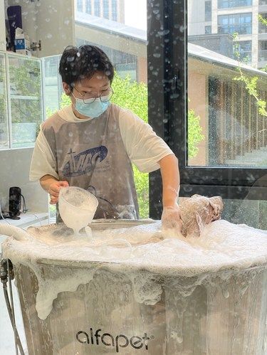这才是属于毛孩子们的高级spa