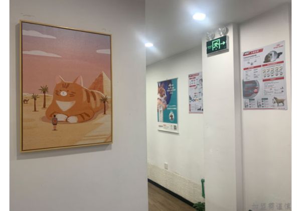 陕西特色宠物诊所,宠物诊所连锁