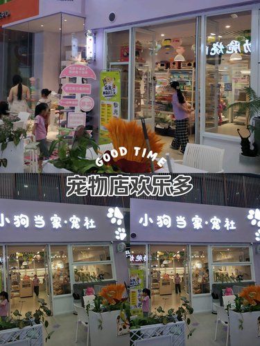 小狗当家·宠社，什么情况？