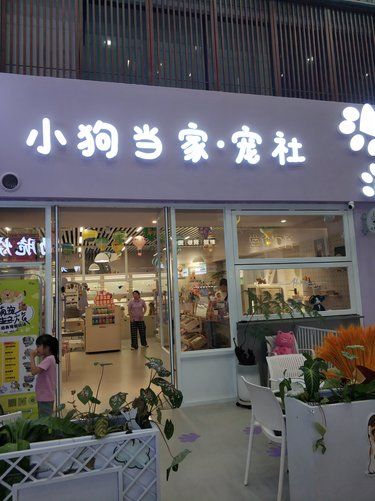 小狗当家·宠社，什么情况？