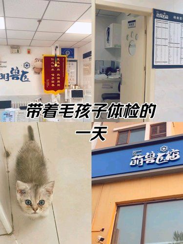 医术超赞 医心更美~免费送打车5折优惠券。 