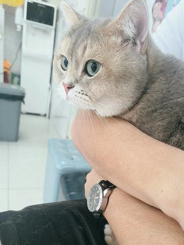 带着毛孩子体检的一天