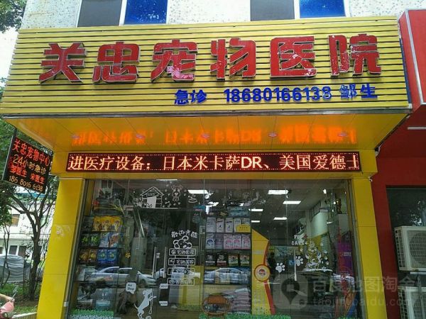 关忠猫专科医院