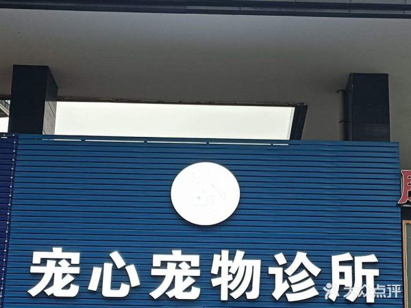 宠心宠物医院