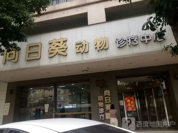 向日葵动物医院