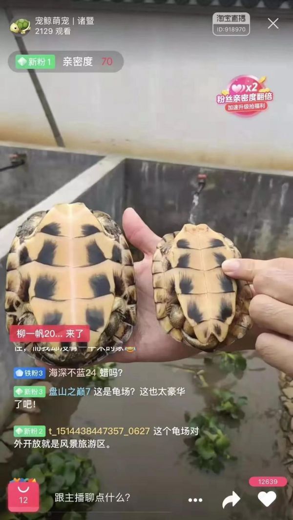 微信图片_20190806140043.jpg