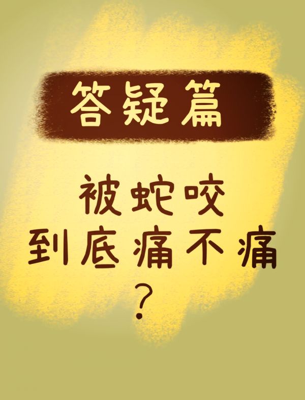 https://selfpage-gips.cdn.bcebos.com/bd6409196ab87f446fe20110b746d867