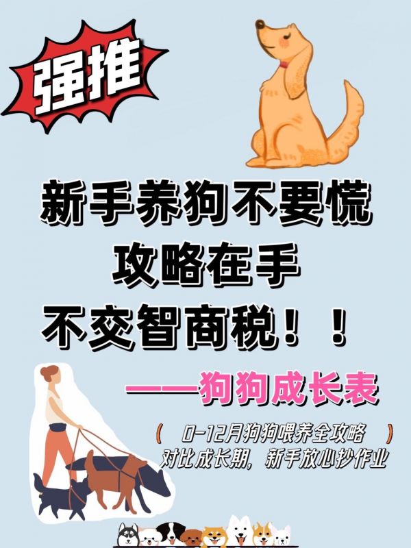 科学喂养/狗狗成长喂养表。一起来看看狗狗狗一岁前的成长喂养攻略吧!#萨摩耶 #科学喂养 #抖音七夕好礼季 #狗狗 #新手养狗