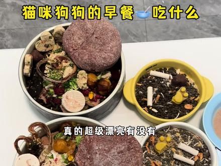自己录的音一遍过的,所以说的有点急 大家别介意#配餐 #配粮 #狗狗配餐