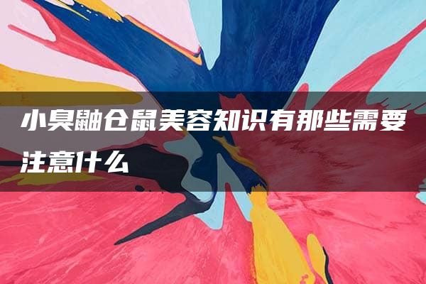 小臭鼬仓鼠美容知识有那些需要注意什么