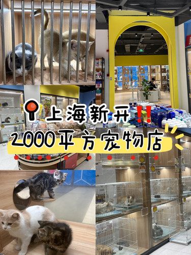 上海新开！2000平方宠物店！
