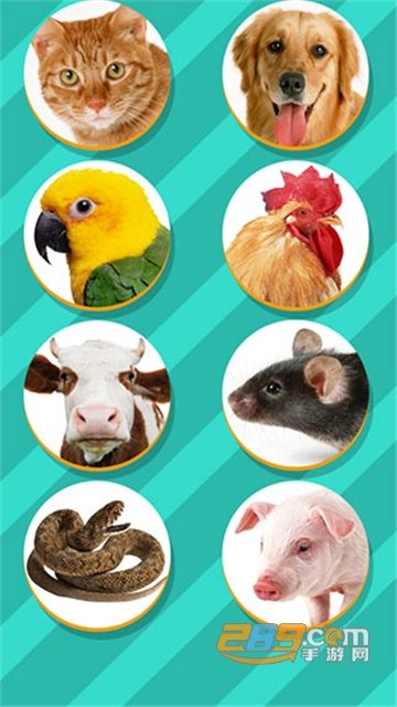 pettranslator宠物对话翻译器下载中文免费版