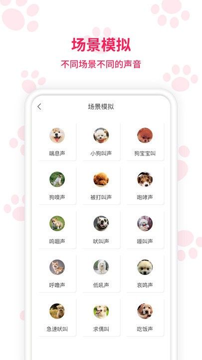 动物翻译app v1.3.5 安卓中文版 2