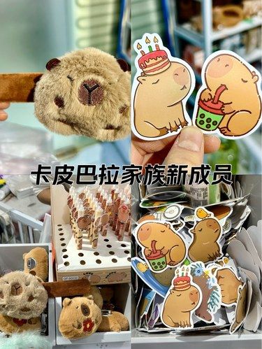 卡皮巴拉新成员来领呀