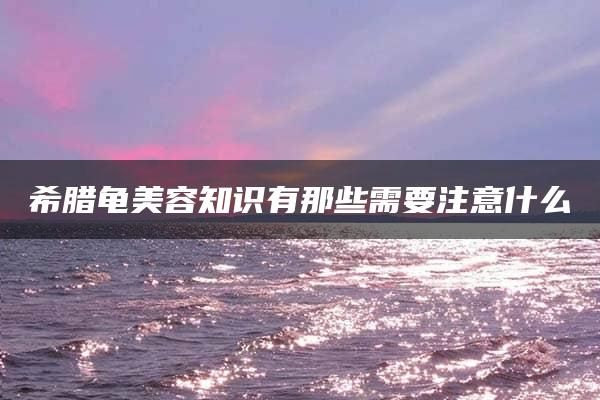 希腊龟美容知识有那些需要注意什么