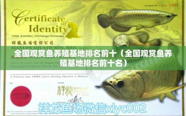 全国观赏鱼养殖基地排名前十（全国观赏鱼养殖基地排名前十名） B级过背金龙鱼