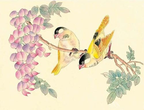 花鸟工笔画教程：工笔画金丝雀步骤图