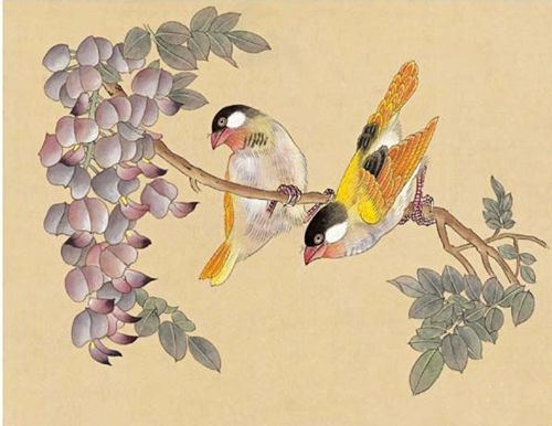 花鸟工笔画教程：工笔画金丝雀步骤图