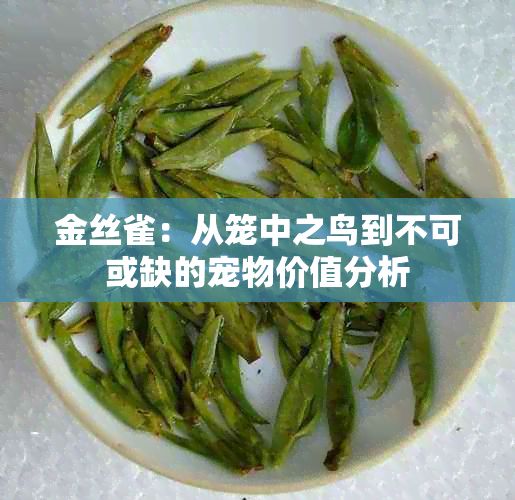 金丝雀：从笼中之鸟到不可或缺的宠物价值分析