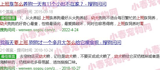 白天要上班幼犬怎么喂