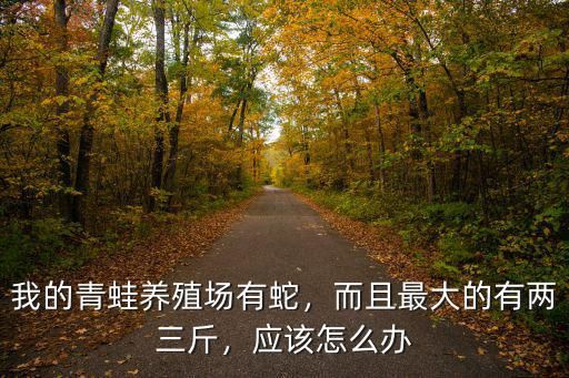 我的青蛙养殖场有蛇，而且最大的有两三斤，应该怎么办