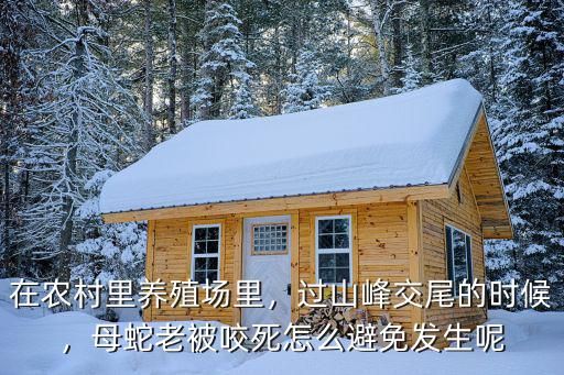 在农村里养殖场里，过山峰交尾的时候，母蛇老被咬死怎么避免发生呢