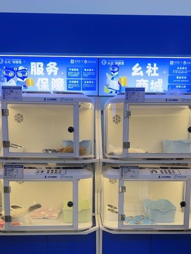 合生汇免费领猫？？