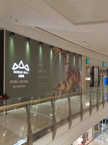 这么多东北首店么？