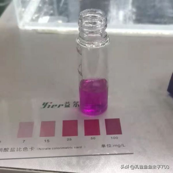你知道养鱼为什么要换水吗？养好孔雀鱼应该几天换一次呢？