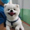 京怀护宠动物医院有限公司