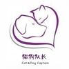 猫狗队长