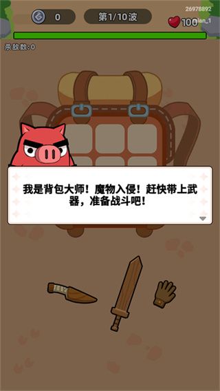 口袋宠物猪