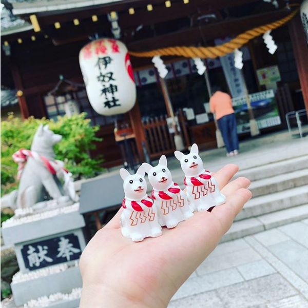 犬物语：不止柴犬与秋田，这些可爱的日本犬，统统很疗愈