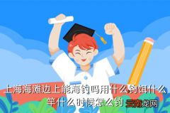 沙滩抛钓用什么饵，上海海滩边上能海钓吗用什么钓饵什么竿什么时候怎么钓