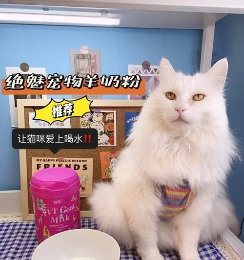 狗狗的营养需求与补奶方法（宠物狗狗喝什么才能健康成长）