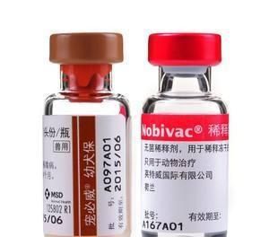 不知道狗狗打什么疫苗好？英特威和辉瑞卫佳的区别在这里