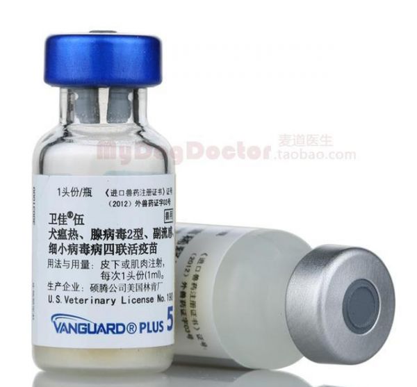 不知道狗狗打什么疫苗好？英特威和辉瑞卫佳的区别在这里