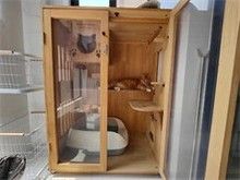 亦庄宠物猫狗寄养 长期寄养 短期寄养等