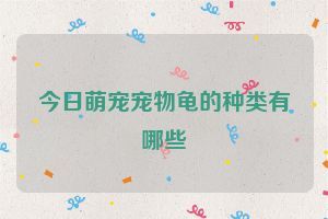 今日萌宠宠物龟的种类有哪些