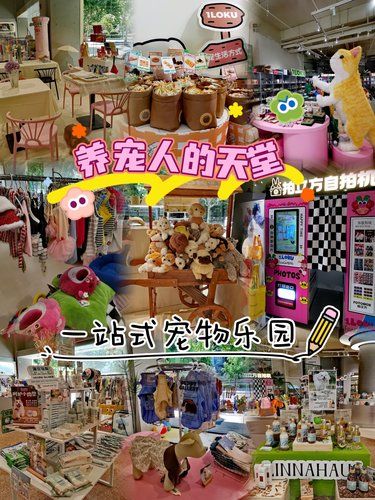 养宠人打工省钱不易，1元宠物护理，快来薅