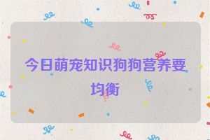 今日萌宠知识狗狗营养要均衡