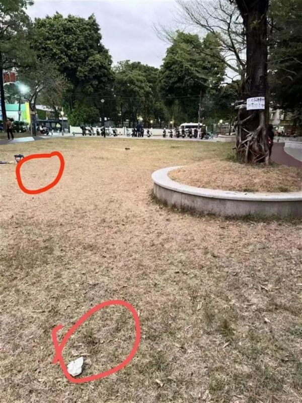 超40只宠物狗疑似中毒死亡，官方通报