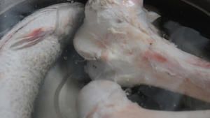 【自制鲜狗粮】简单几步制作爱犬日粮的做法 步骤2
