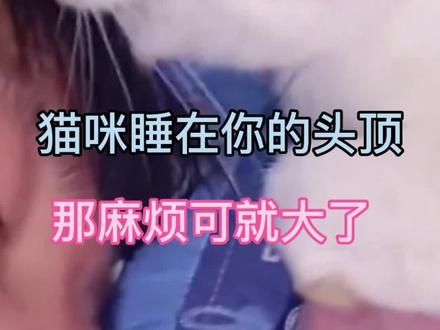 如果猫咪喜欢睡在你的头顶，一定要休息啦#猫咪 #记录猫咪日常 #科学养宠攻略 #动物的迷惑行为