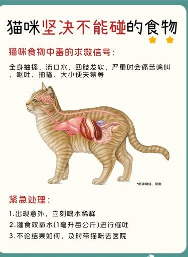 夺命“毒”食!猫咪不能吃的几种食物