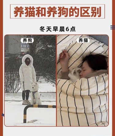 哈哈哈太真实啦！这就是养猫和养狗的区别