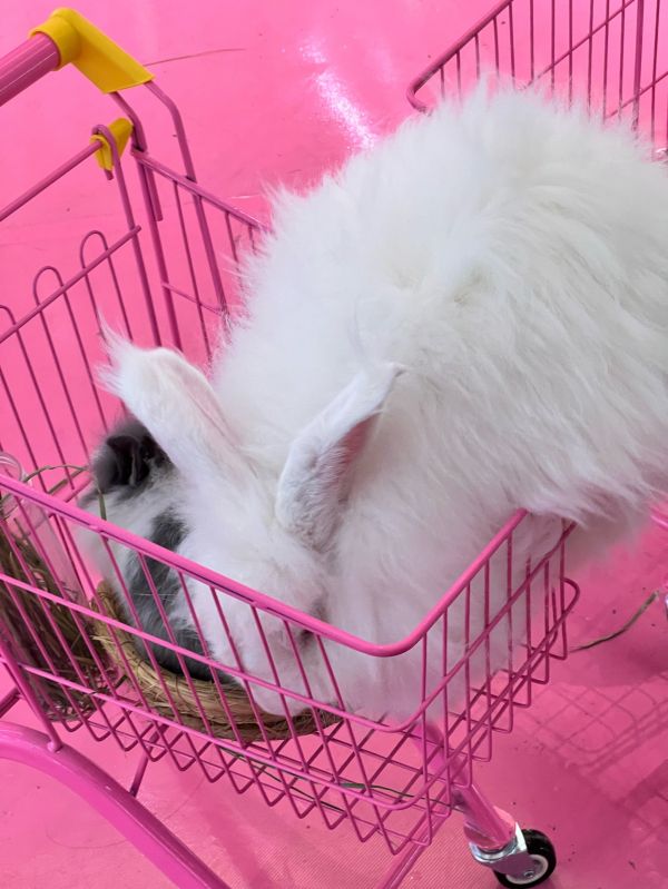 https://qcloud.dpfile.com/pc/klvIYBRR6lLyYFn-OOAGuhU3cBeG_OFrKLVBaVrVRjsYKe4NoCi0ZpndS6-Iu6W6Y0q73sB2DyQcgmKUxZFQtw.jpg