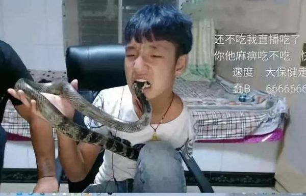 独臂胜哥,独臂胜哥生吃蛇的视频