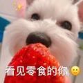 https://p0.meituan.net/userheadpicbackend/8daf32c53a309aaa32b81ec7ec3f17614481.jpg%40120w_120h_1e_1c_1l%7Cwatermark%3D0